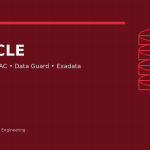 Oracle database engineering